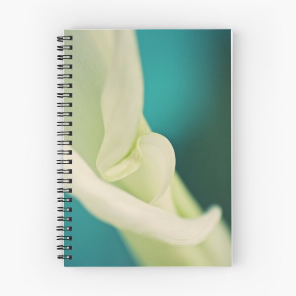 Item preview, Soft curves designed and sold by dhmig.