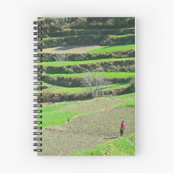 Item preview, terraces designed and sold by Miriam  Wallace.