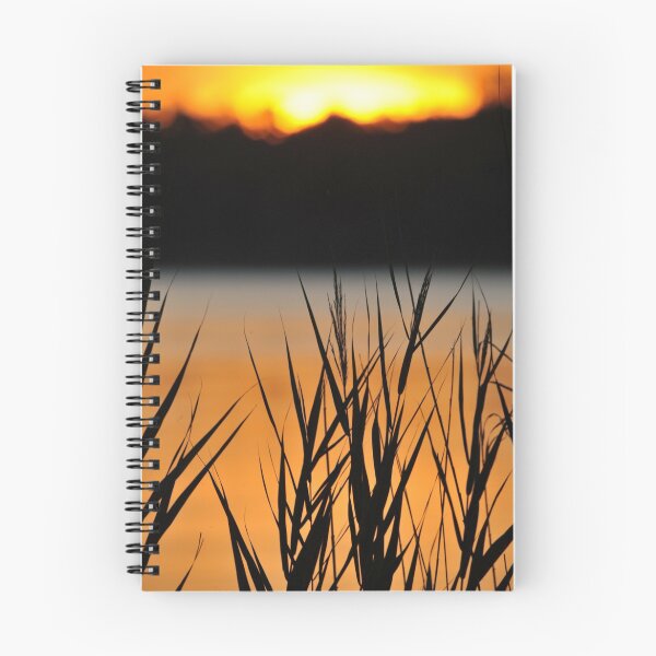 Item preview, Reeds at sunset designed and sold by Wayne England.