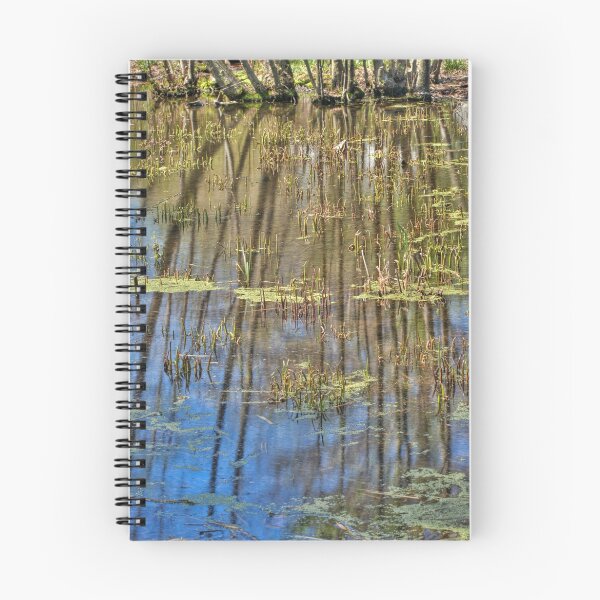 Item preview, Wetlands designed and sold by Jean-Pierre Ducondi.