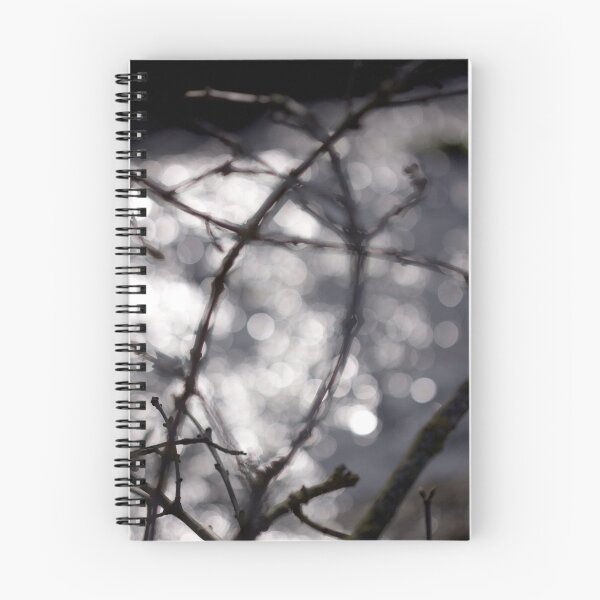 Item preview.