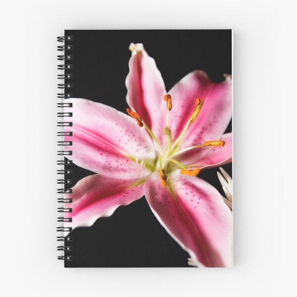 Aperçu de l'œuvre Floating Lily créée et vendue par Tim Mannle.