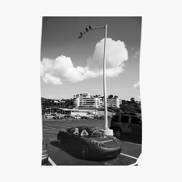 Opportunist II ( B&W) Poster