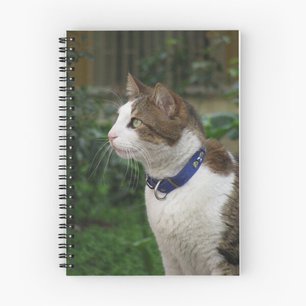 Item preview, Looking at the birds!!! designed and sold by rasim1.