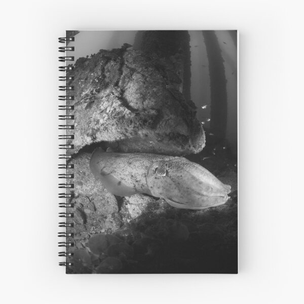 Item preview, Cuttlefish lurking - presented in black and white designed and sold by Stephen Colquitt.