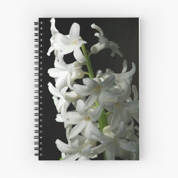 Artikelvorschau, Beautiful Beginnings entworfen und verkauft von Laurel Haarer.