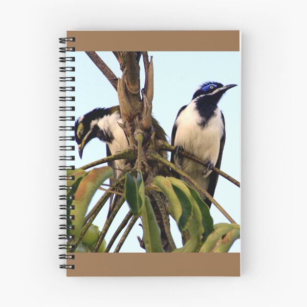 Item preview, Blue Faced Honey Eater Pair designed and sold by HeidiForeman.