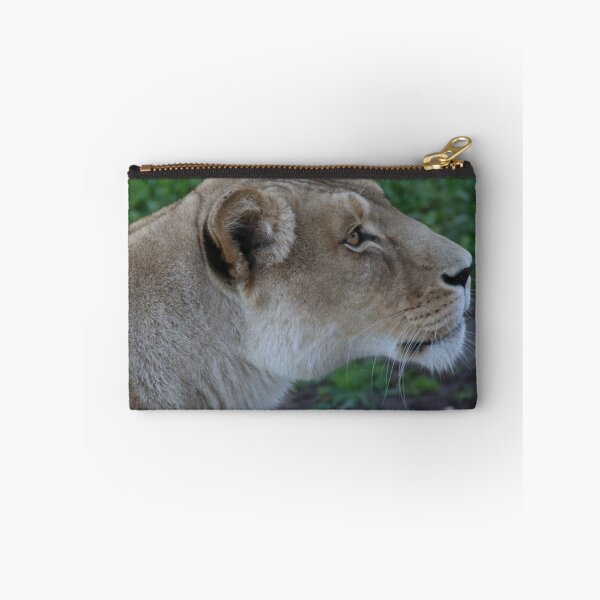Item preview, Just Give Me The Food, Don't Make Me Beg. designed and sold by Stuart Daddow Photography.