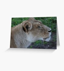 Just Give Me The Food, Don't Make Me Beg. Greeting Card