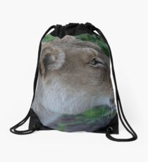 Just Give Me The Food, Don't Make Me Beg. Drawstring Bag