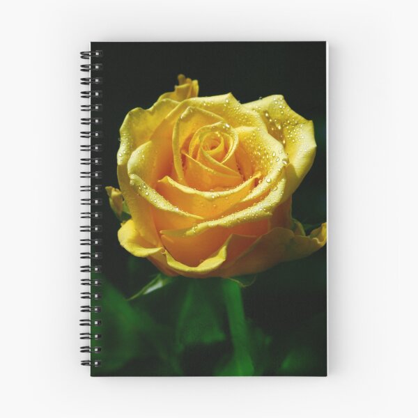 Item preview, Yellow rose designed and sold by Baska.