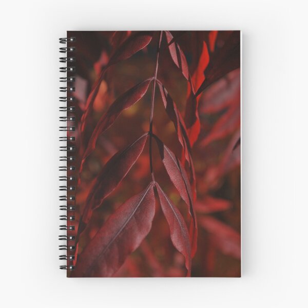 Item preview, Red Autumn designed and sold by Lozzar Flowers & Art.