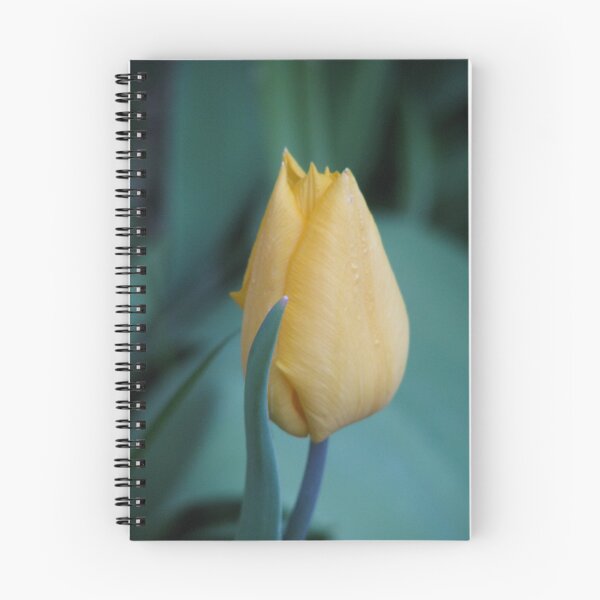 Item preview, Tulip in the blue's designed and sold by Adair  Davidson.