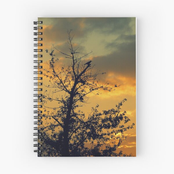 Item preview, The sunset and the bird... designed and sold by Nuh Sarche.