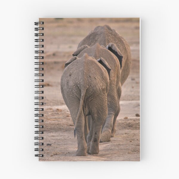 Artikelvorschau, Elephants off to bed entworfen und verkauft von Angela1.