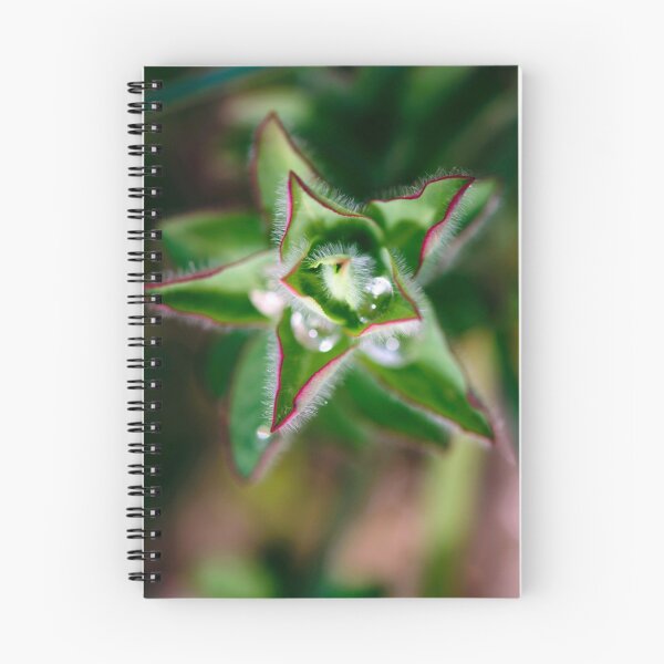 Item preview, found water in a star designed and sold by ser-y-star.