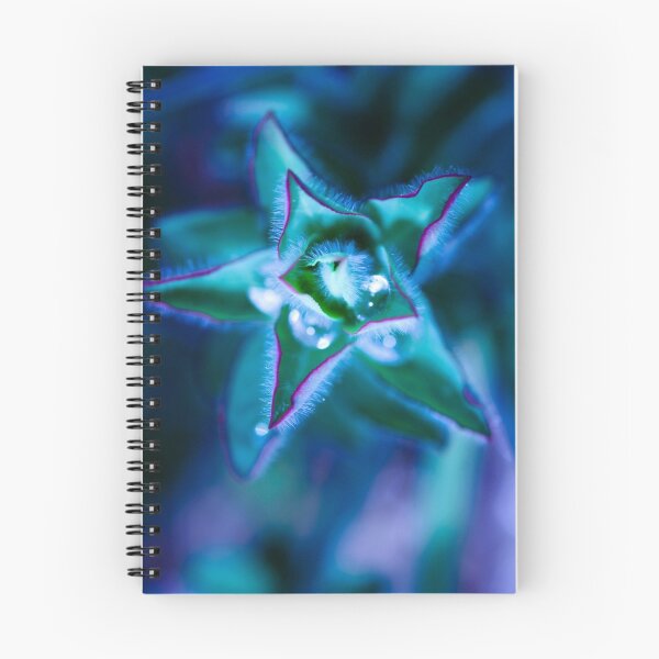 Item preview, found water in a star designed and sold by ser-y-star.