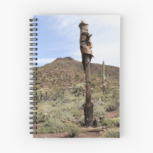 Item preview, Cactus Saguaro designed and sold by Luis Huerta.
