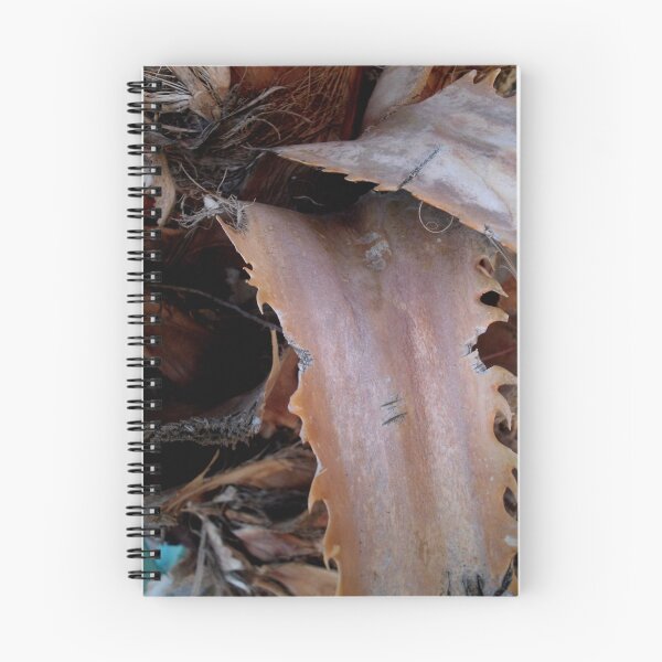 Artikelvorschau, Palm Tree in Arizona entworfen und verkauft von Erika Townsley.