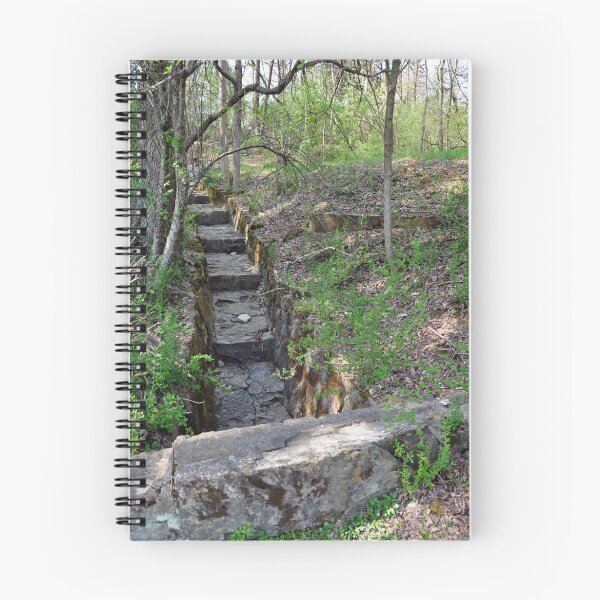 Item preview, Steps to nowhere designed and sold by JAGgedEdgePhoto.