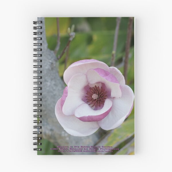 Item preview, Robles-Kearns Garden; La Mirada, CA USA designed and sold by leih2008.