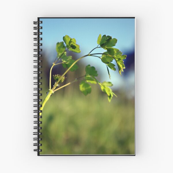 Item preview, Life's Beginnings designed and sold by Lauren Neely.