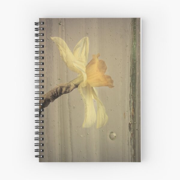 Item preview, Bubbly daff designed and sold by robbos.