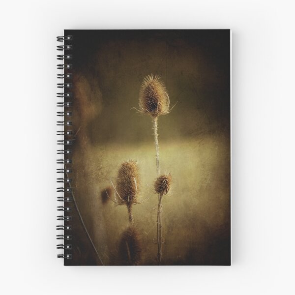 Item preview, Spikey but nice designed and sold by Matt Sillence.