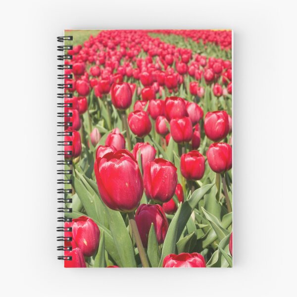 Item preview, Tulip Row designed and sold by Tracy Riddell.