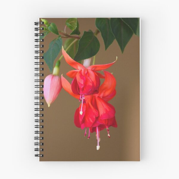 Item preview, Forever Fuschia designed and sold by Chet  King.