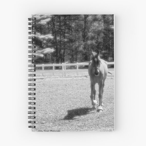Item preview, COMING HOME designed and sold by Arline Grant.