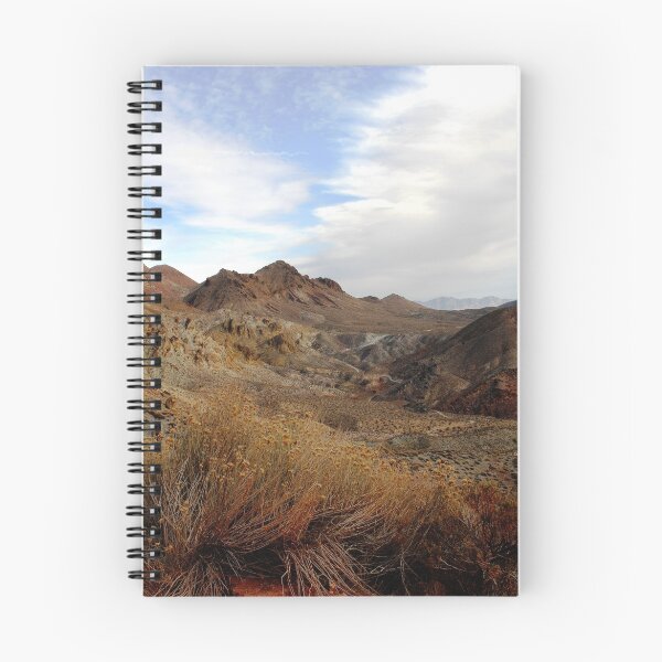 Aperçu de l'œuvre Death Valley Vista créée et vendue par Karen Zimmerman.
