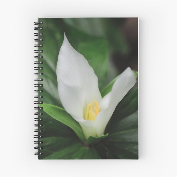 Item preview, trillium designed and sold by Jeannie Peters.