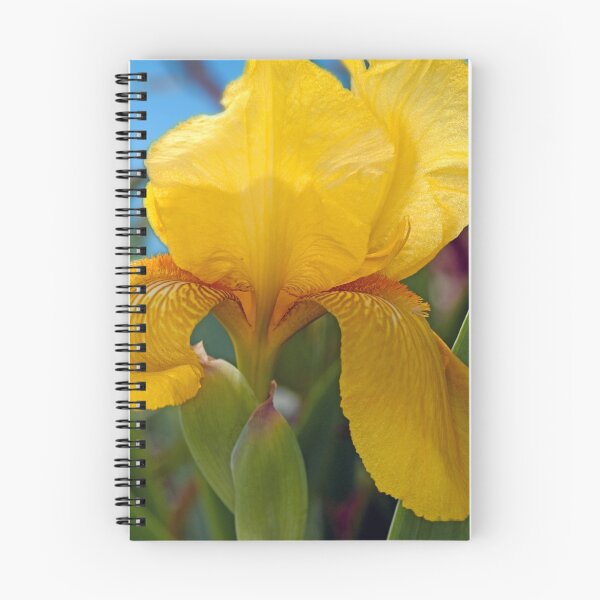 Item preview, Iris in April designed and sold by Bonnie T.  Barry.