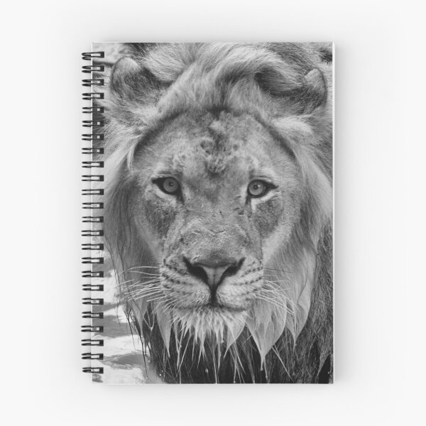 Item preview, The Stare designed and sold by JThill.