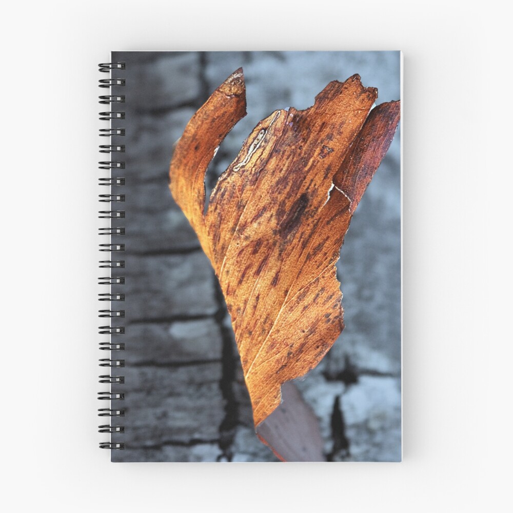 Item preview, Spiral Notebook designed and sold by Baska.