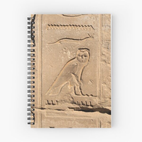 Item preview, Karnak Temple 48 designed and sold by rhallam.