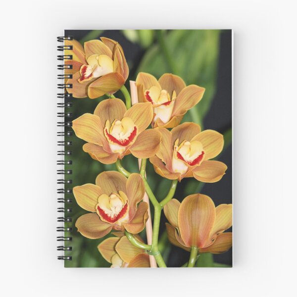 Item preview, Orange Cymbidium orchids 3 designed and sold by rhallam.