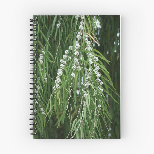 Item preview, Ernestos' Garden; Weeping Willow in Bloom; La Mirada, CA USA designed and sold by leih2008.