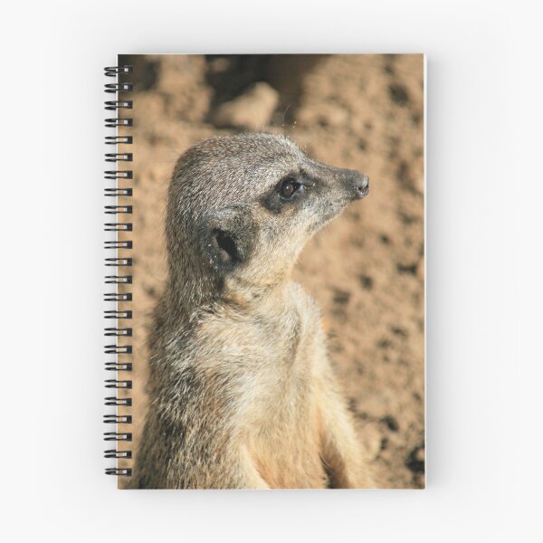 Item preview, Meerkat 5 designed and sold by rhallam.