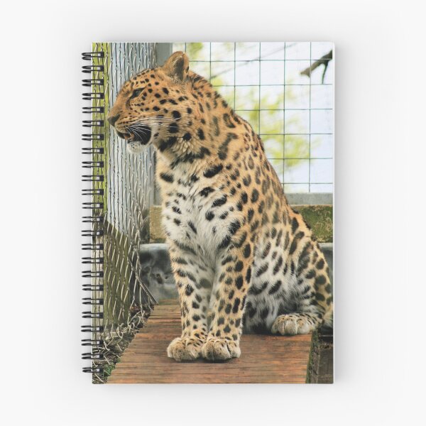 Item preview, Leopard 5 designed and sold by rhallam.