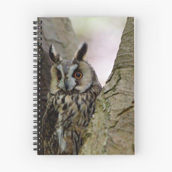 Item preview, Long Eared Owl in Tree designed and sold by buttonpresser.
