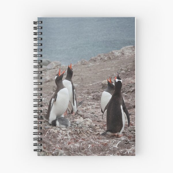 Item preview, Gentoo Chorus designed and sold by David Burren.