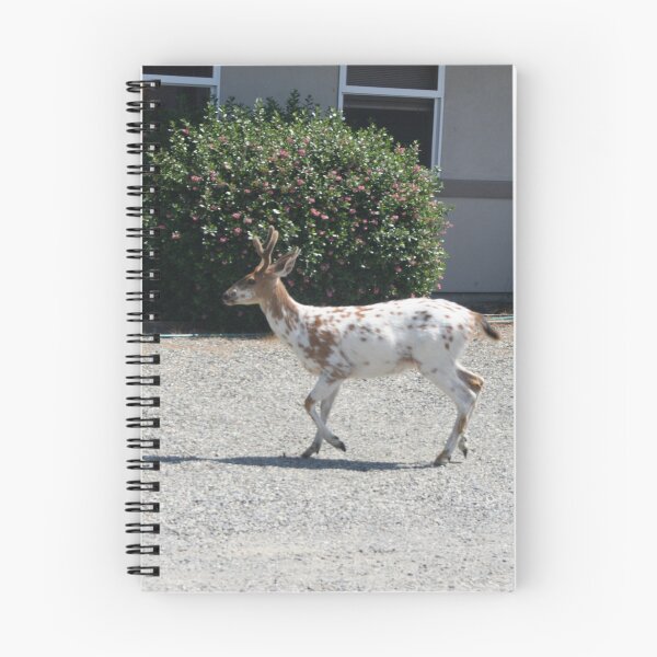 Item preview, "Albino Deer" designed and sold by Lynn Bawden.