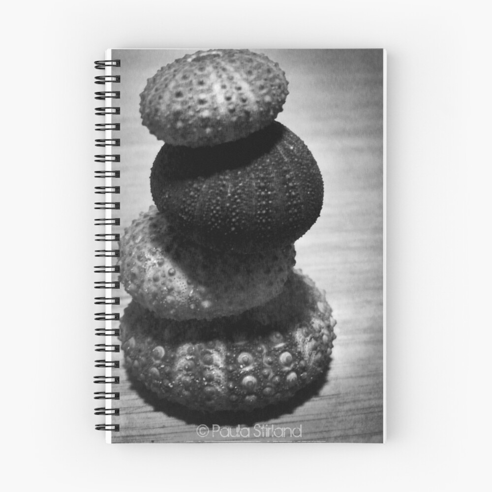 Item preview, Spiral Notebook designed and sold by Gozza.