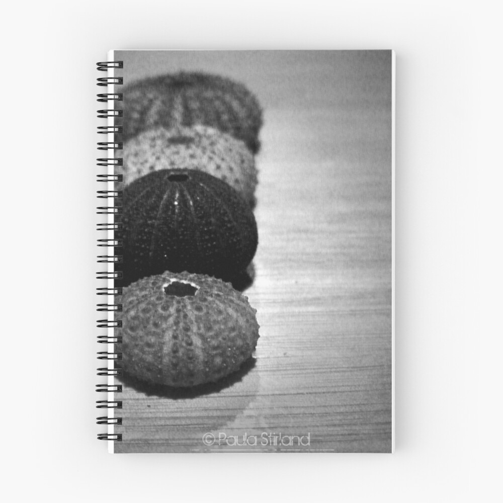 Item preview, Spiral Notebook designed and sold by Gozza.