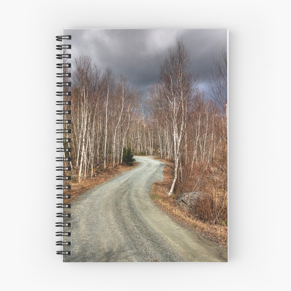 Item preview, Spiral Notebook designed and sold by scullumber.