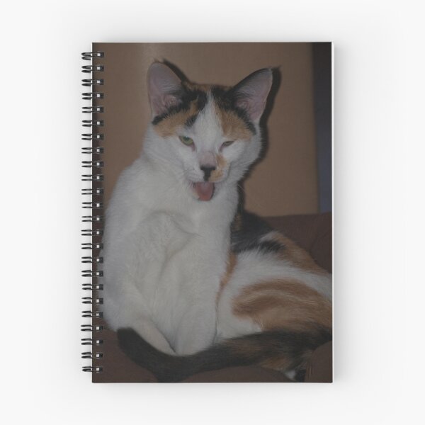 Item preview, YUK!!!!!!!!!!!!!!!! designed and sold by dennis wingard.