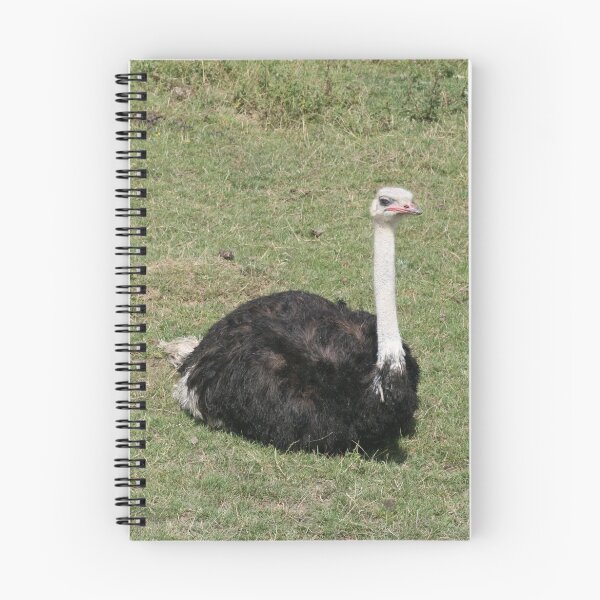 Item preview, Ostrich 9 designed and sold by rhallam.