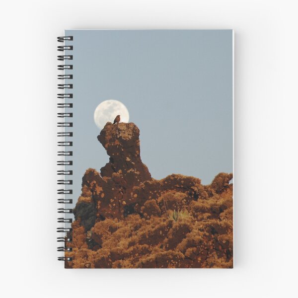 Aperçu de l'œuvre Framed By The Moon créée et vendue par Karen Zimmerman.